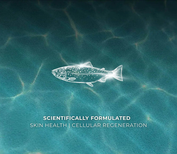 Korean PN Booster 婴儿针